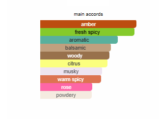 Prada Paradigme (Men)